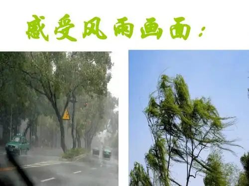 风雨(公开课)