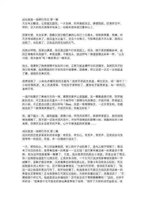 成长是一场修行作文
