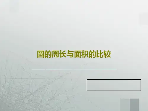 圆的周长与面积的比较共16页文档