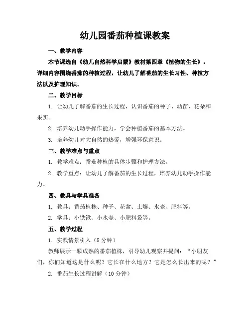 幼儿园番茄种植课教案