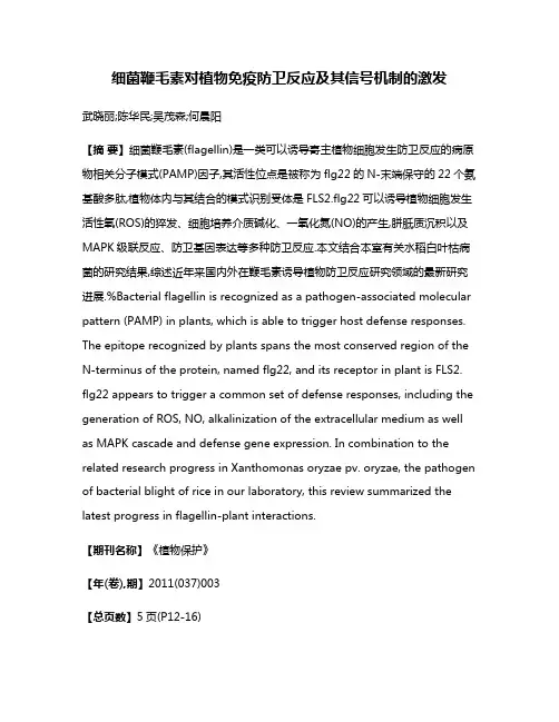细菌鞭毛素对植物免疫防卫反应及其信号机制的激发