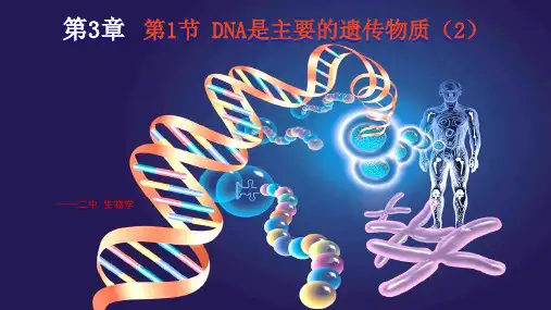 噬菌体侵染大肠杆菌实验-3课件高一下学期生物人教版必修2