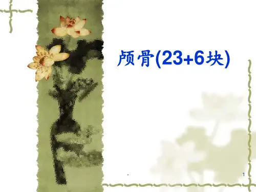 正常人体解剖学之颅骨PPT课件