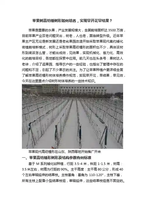 苹果树高纺锤树形如何培养，实现早开花早结果？
