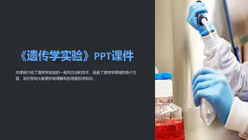 《遗传学实验》课件