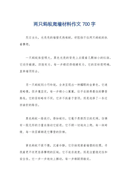 两只蚂蚁爬墙材料作文700字