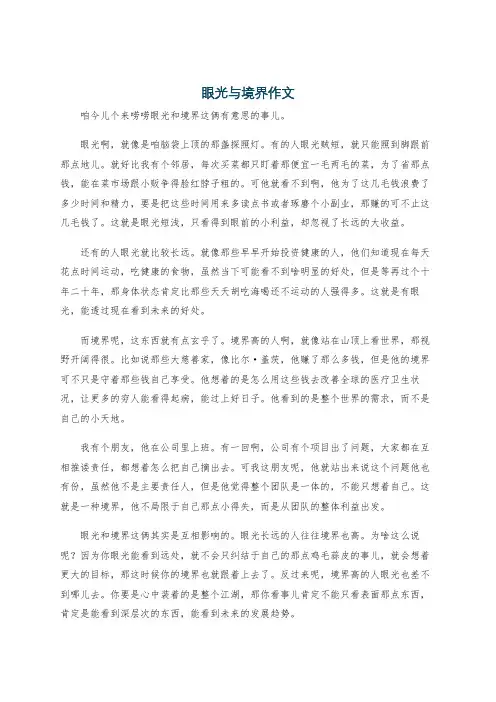 眼光与境界作文