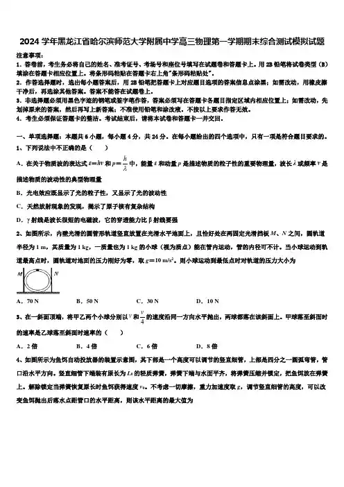 2024学年黑龙江省哈尔滨师范大学附属中学高三物理第一学期期末综合测试模拟试题含解析