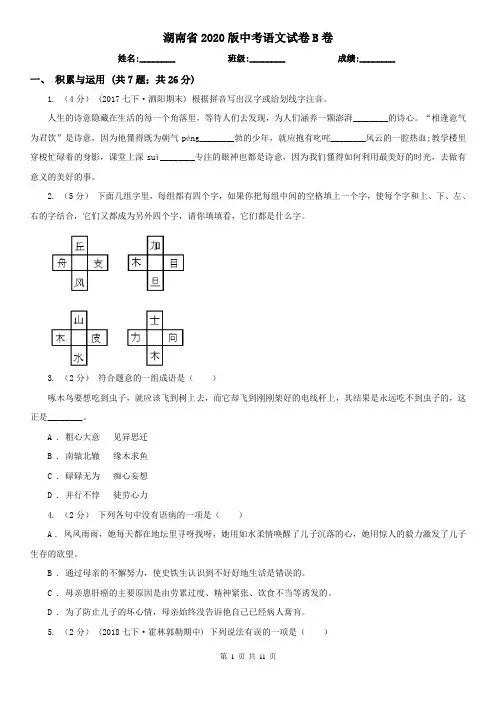 湖南省2020版中考语文试卷B卷(新版)