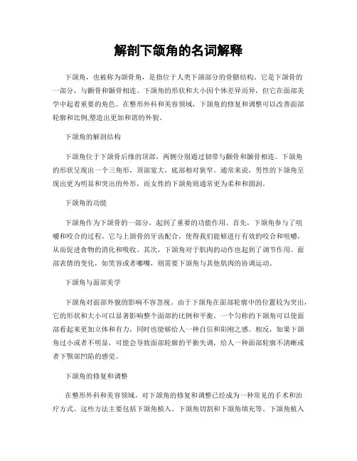 解剖下颌角的名词解释