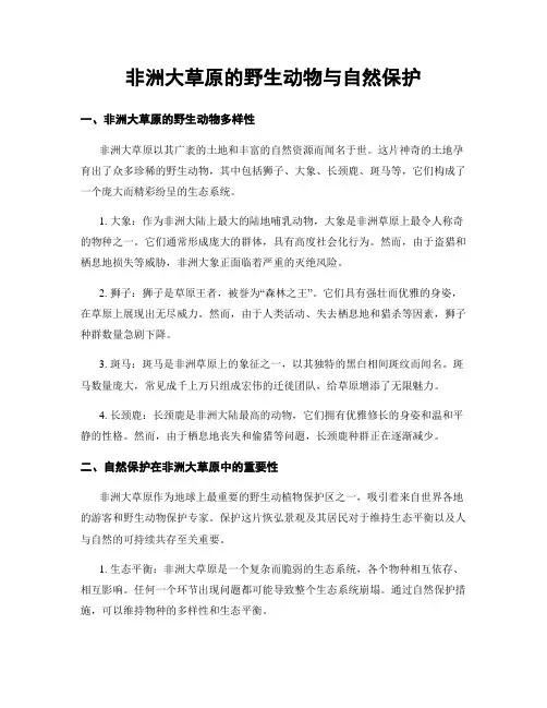 非洲大草原的野生动物与自然保护