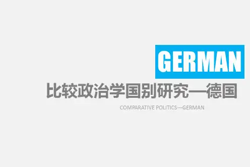 比较政治学国别研究之德国
