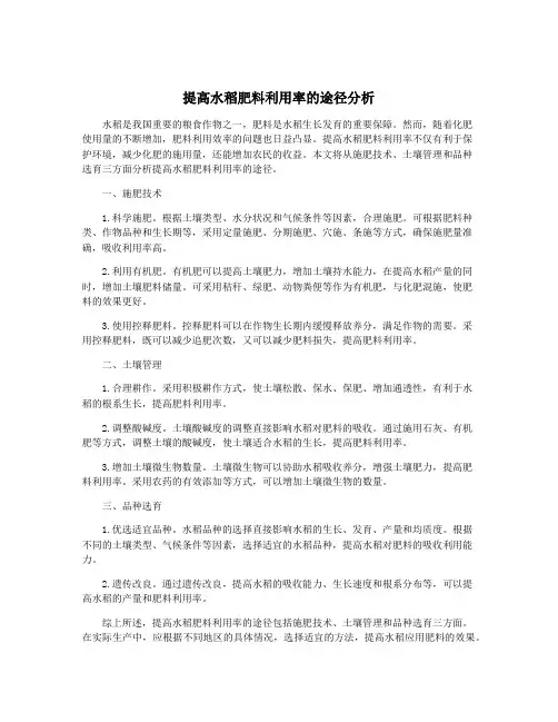 提高水稻肥料利用率的途径分析