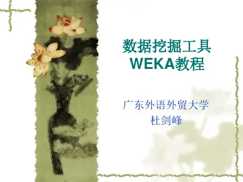 WEKA教程完整版(新)