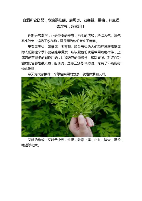 白酒和它搭配，专治颈椎病、肩周炎、老寒腿、腰痛，并且还去湿气，超实用！