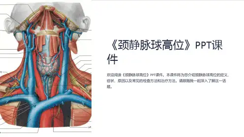 《颈静脉球高位》课件