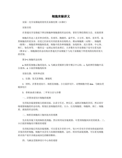 细胞实验讲义