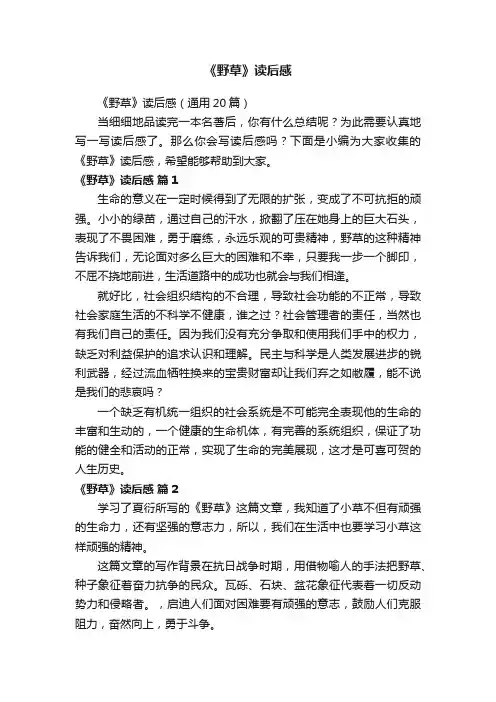 《野草》读后感