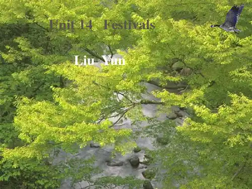 Unit14 Festivals1课件.ppt