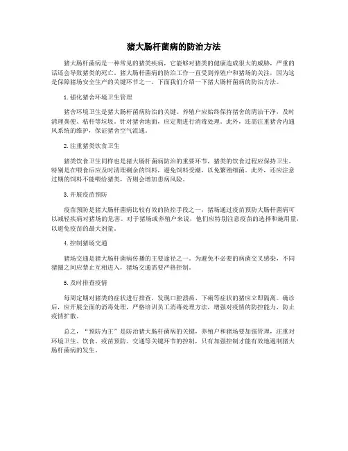 猪大肠杆菌病的防治方法