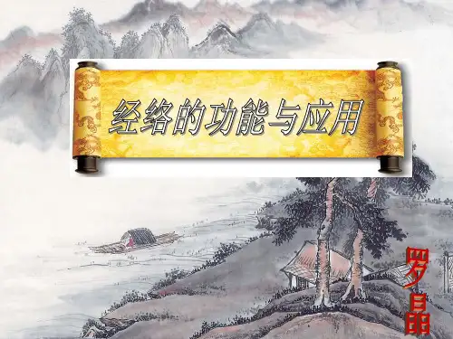 经络的功能与应用PPT课件