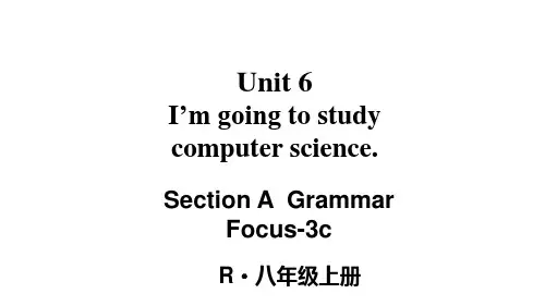 人教版八年级英语上册 Unit 6第2课时(Section A Grammar Focus-3c)