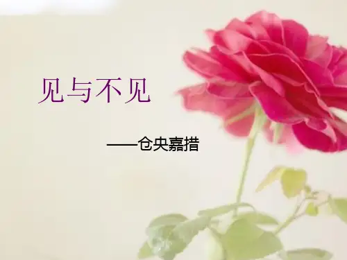 见与不见