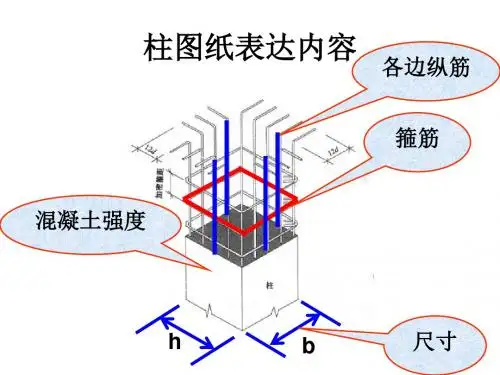 六、柱配筋图
