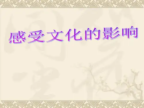 人教版高二政治必修三2.1 感受文化的影响(共14张PPT)