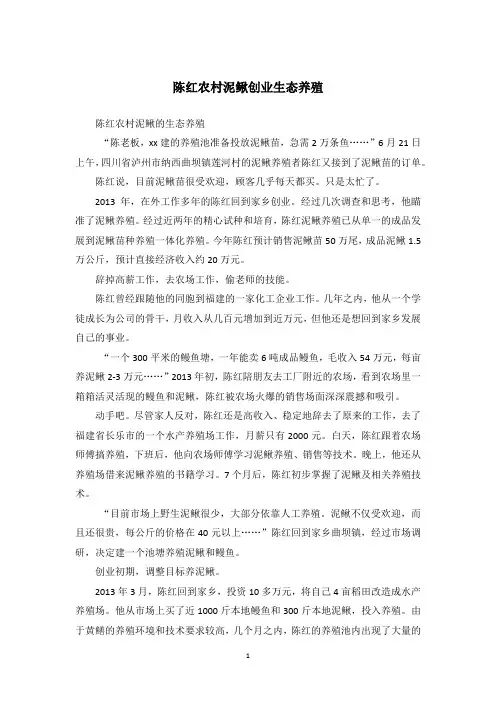 陈红农村泥鳅创业生态养殖