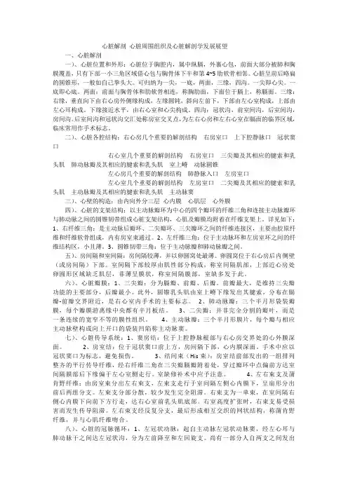 心脏解剖