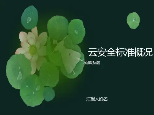 云安全标准组织