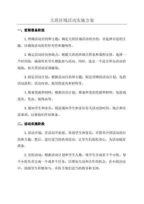 大班区域活动实施方案