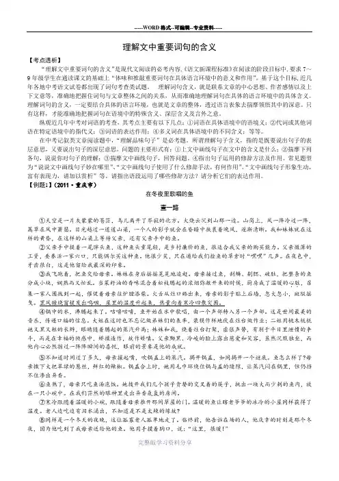 现代文阅读中考考点二理解文中重要词句的含义