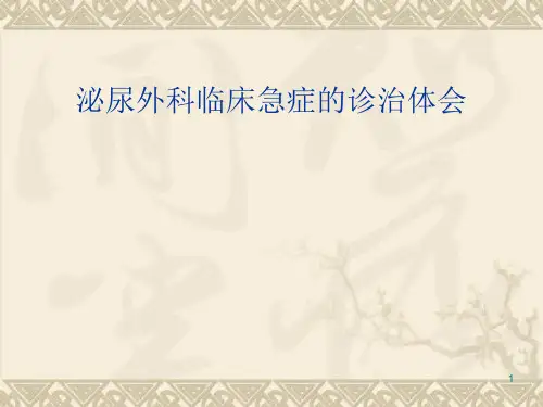 50_泌尿外科常见急症的诊断与处理课件
