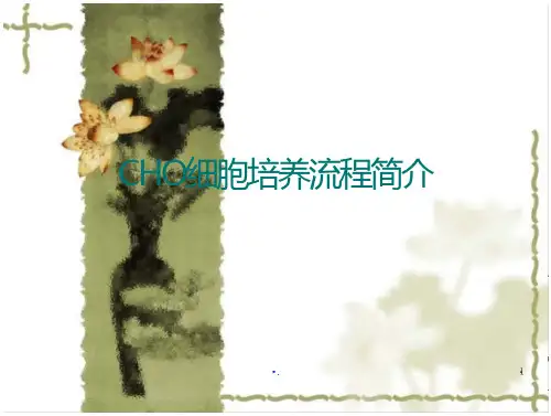 细胞大规模悬浮培养流程简介