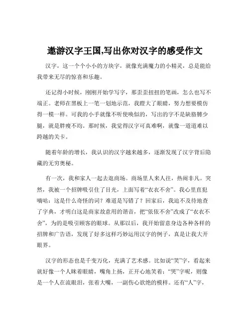 遨游汉字王国,写出你对汉字的感受作文