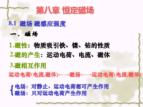 恒定磁场