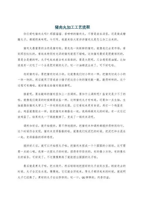 猪肉丸加工工艺流程