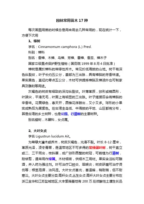 园林常用苗木17种