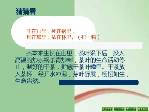 《陆羽与茶经》教学课件