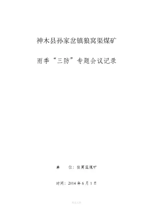 雨季三防专项会议记录