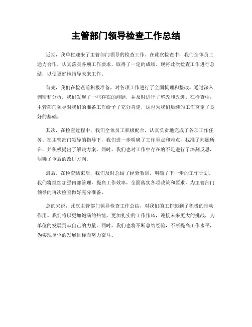 主管部门领导检查工作总结