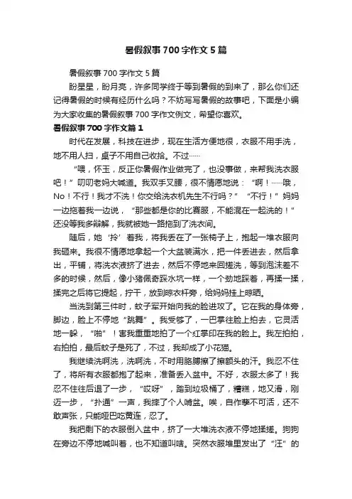 暑假叙事700字作文5篇