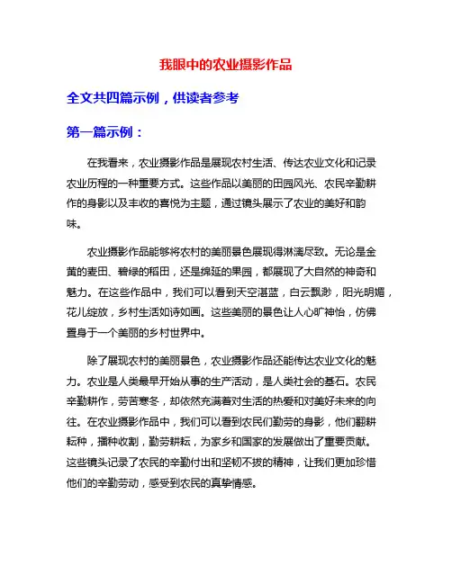我眼中的农业摄影作品