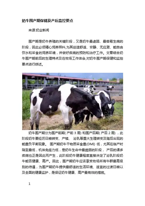 奶牛围产期保健及产后监控要点