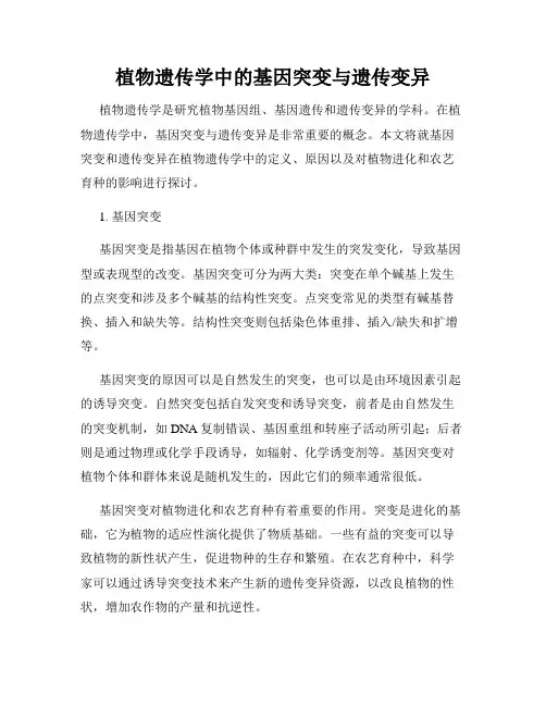 植物遗传学中的基因突变与遗传变异
