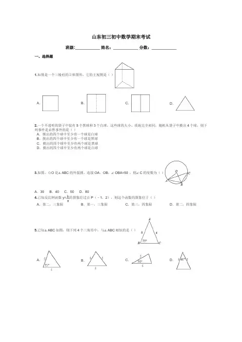 山东初三初中数学期末考试带答案解析
