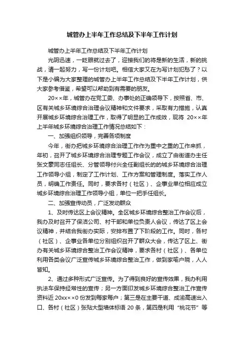 城管办上半年工作总结及下半年工作计划
