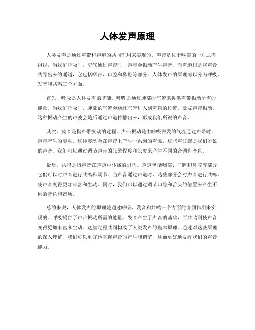 人体发声原理